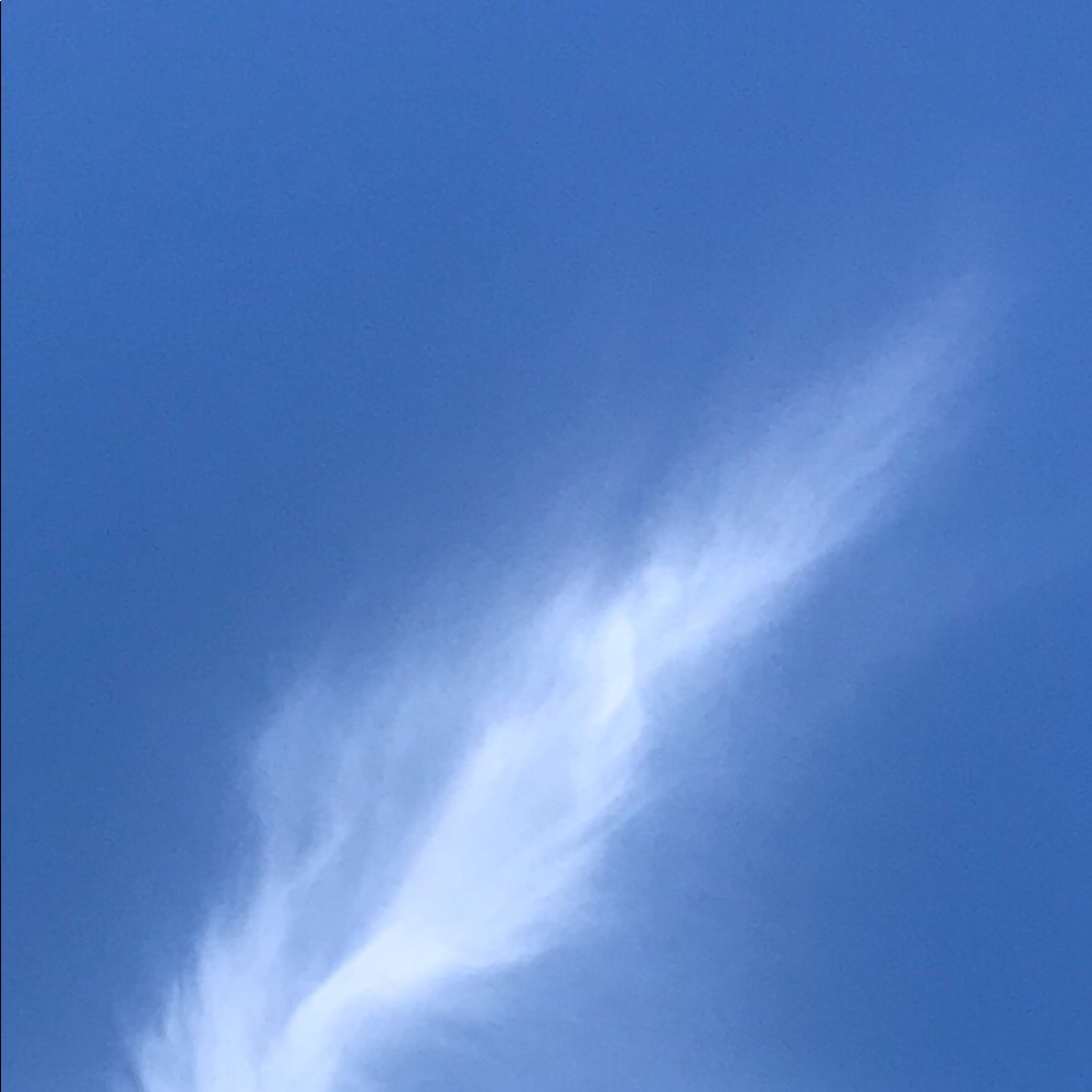 Meet your Posher, Fatimah